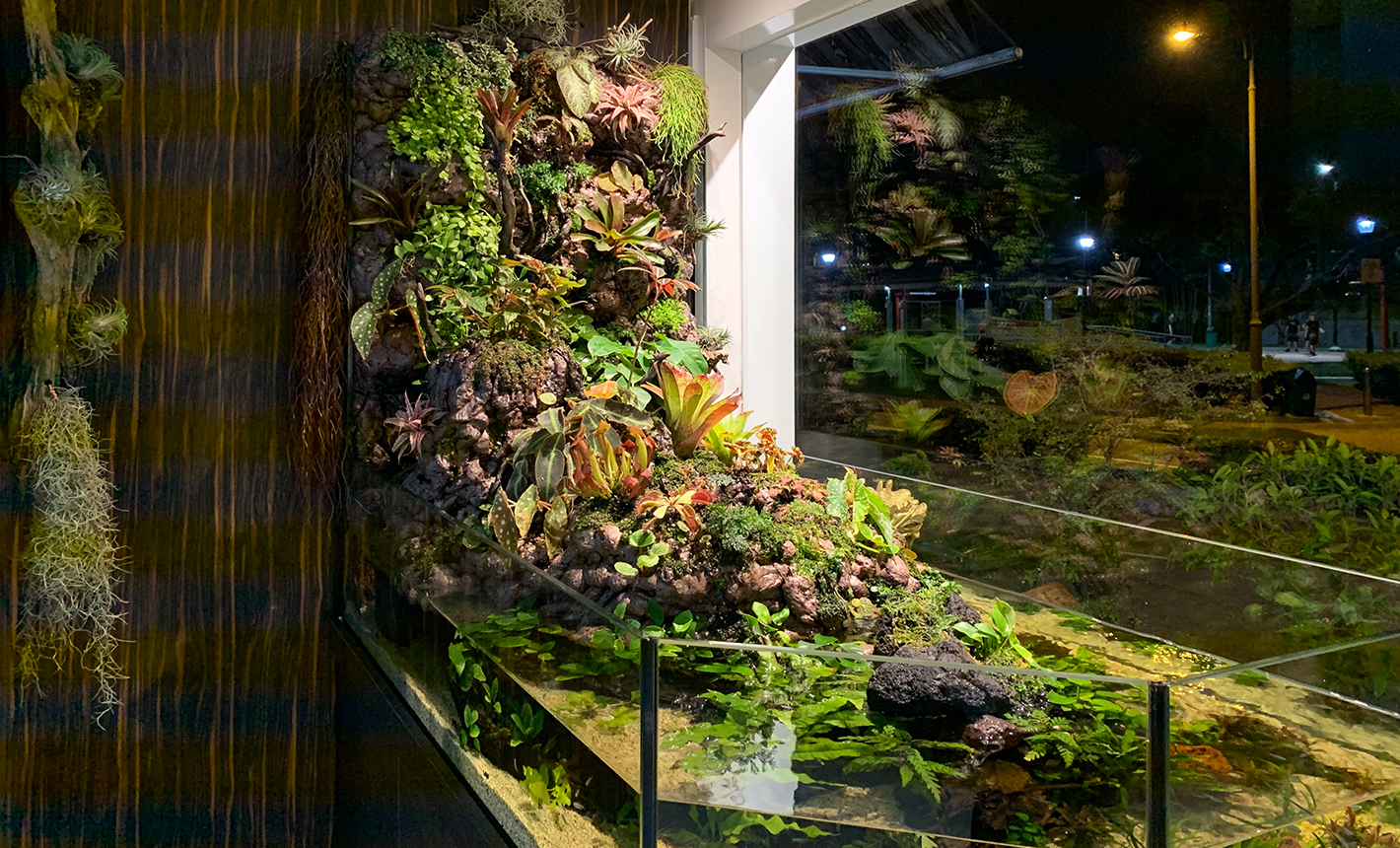 Plant Culture - Vivarium