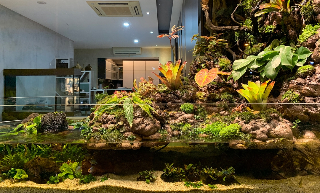 Plant Culture Vivarium
