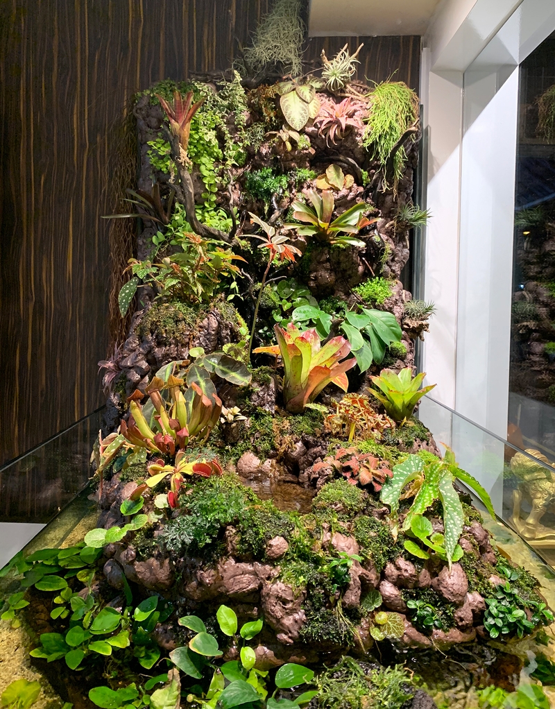 Plant Culture Vivarium